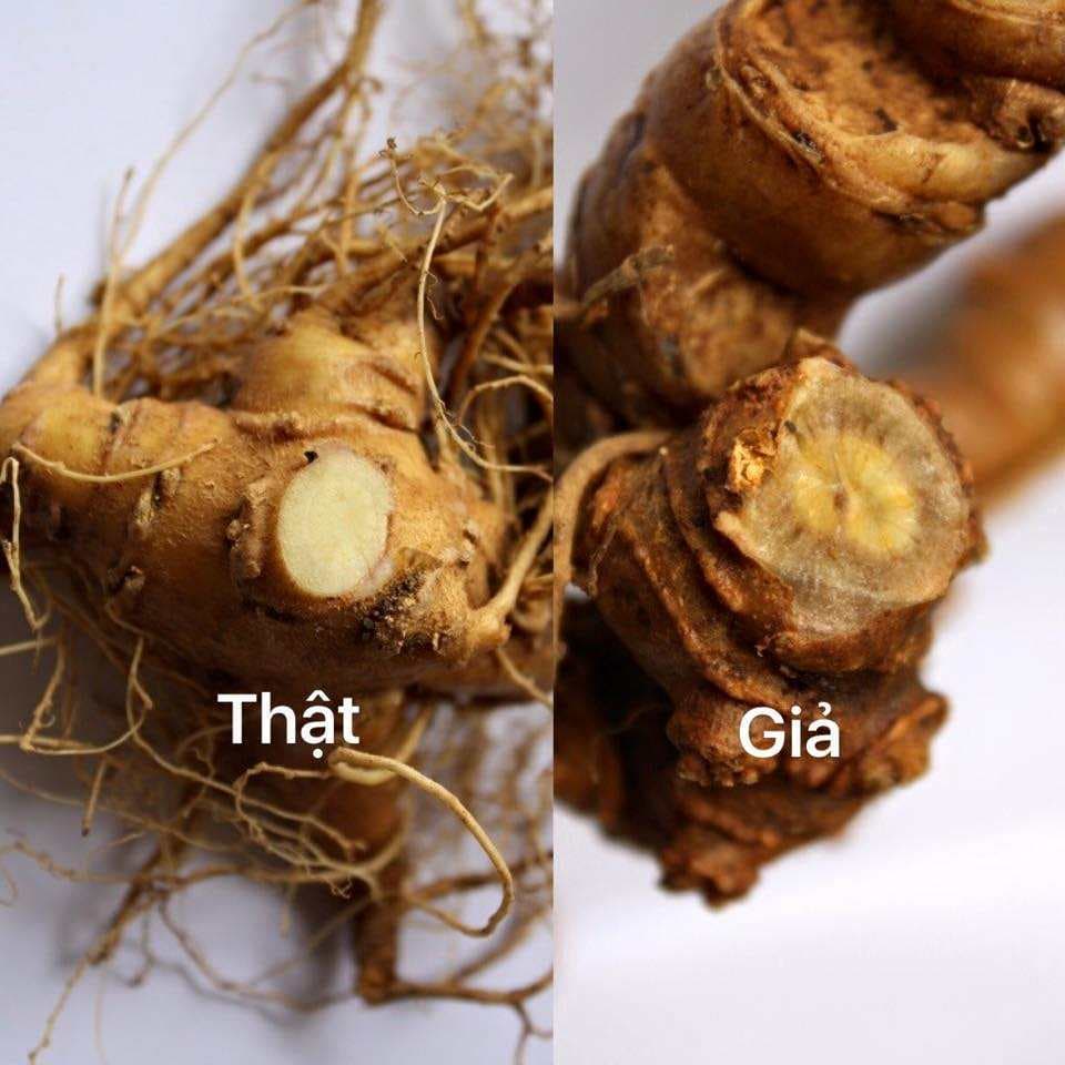 Cách nhận biết sâm Ngọc Linh thật – giả