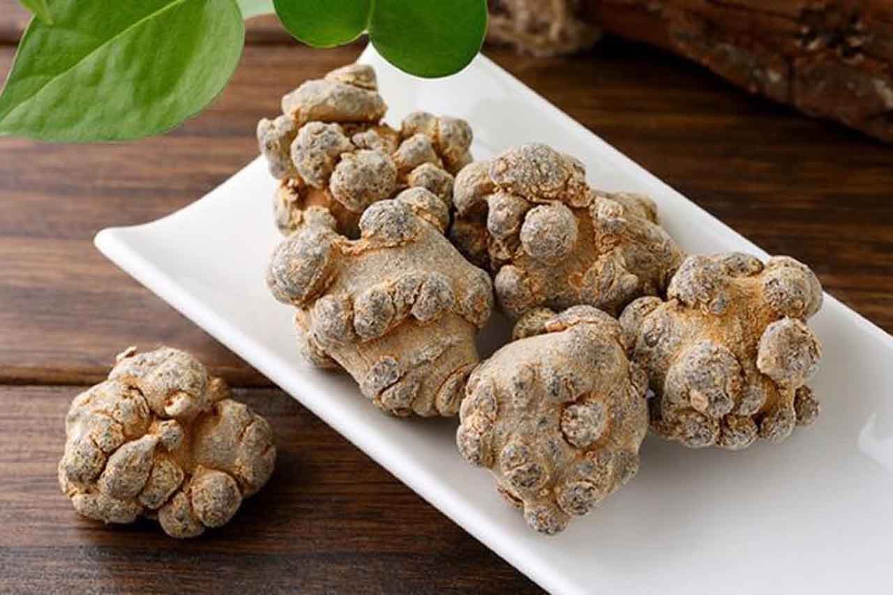 Tam thất là gì? Thành phần quan trọng có trong cu tam thất