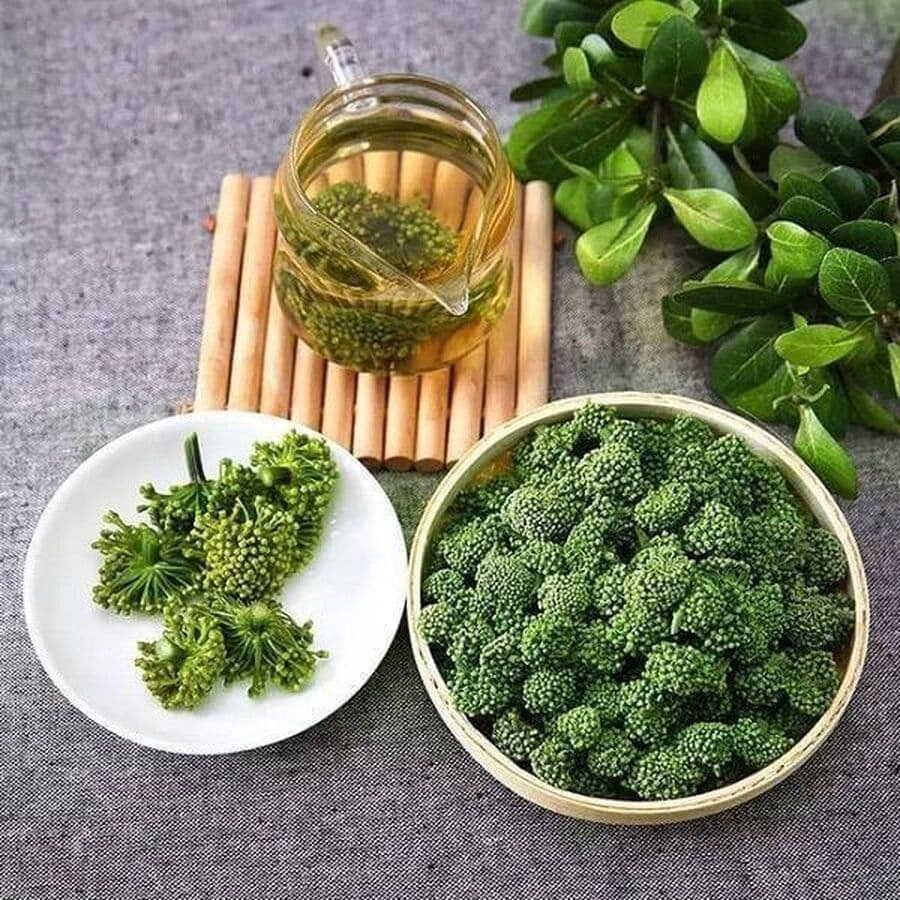 Góc Giải Đáp: Nụ hoa tam thất có tác dụng gì cho sức khỏe của bạn