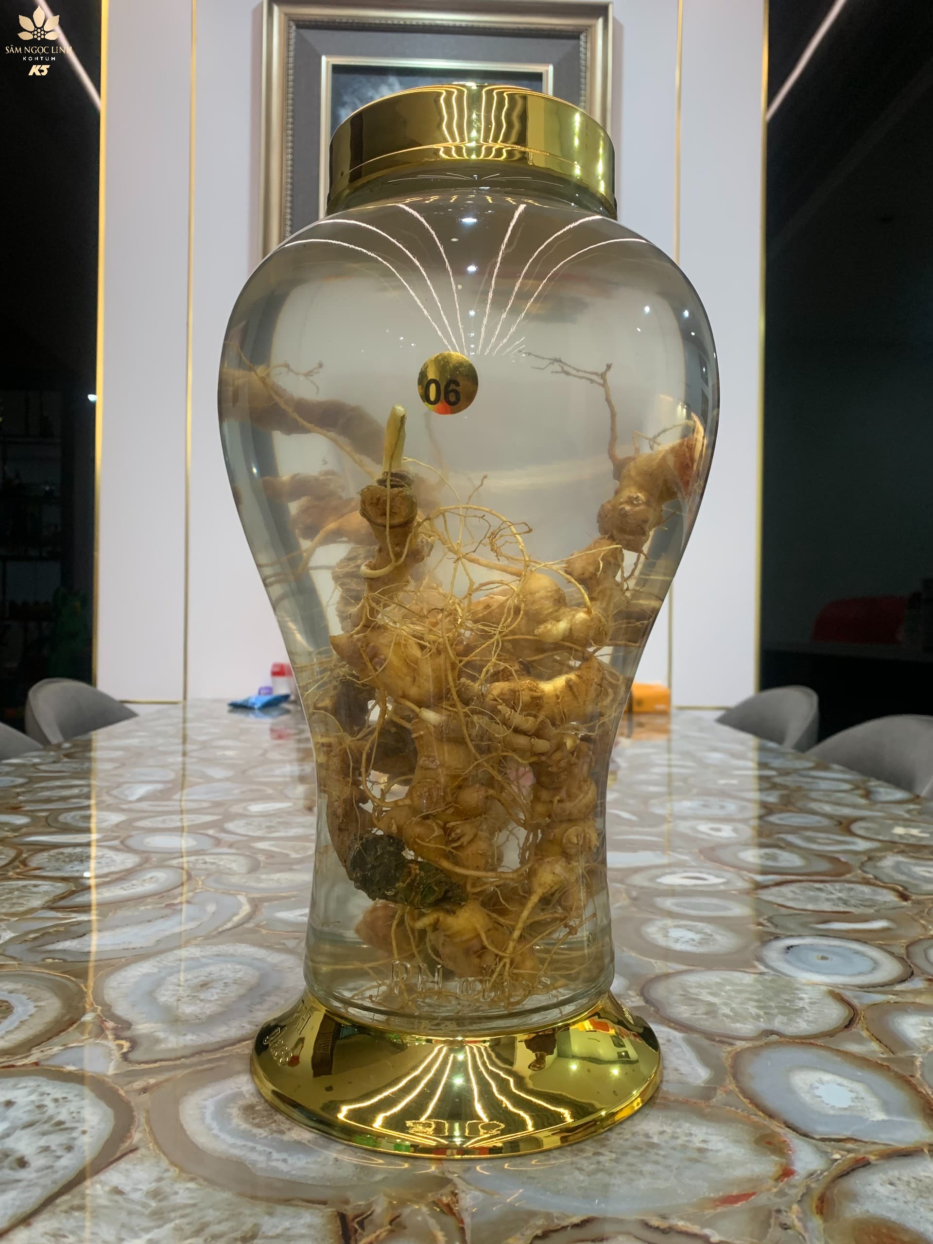 Những điều tuyệt vời của thần dược "Rượu sâm Ngọc Linh"