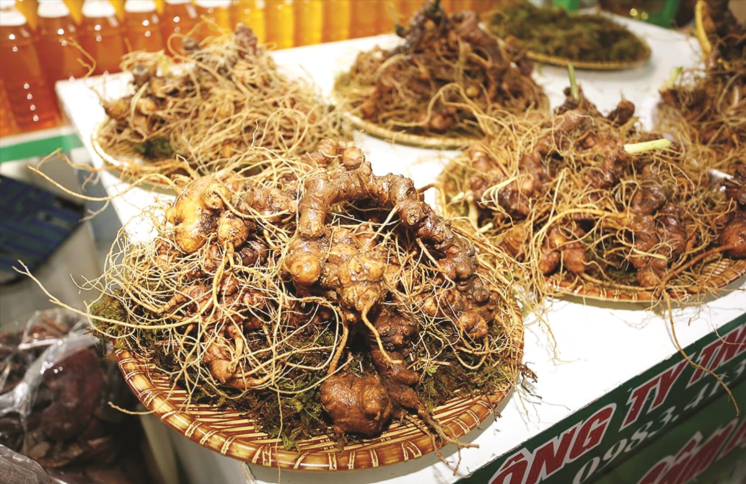Sâm Ngọc Linh giá bao nhiêu 1kg?
