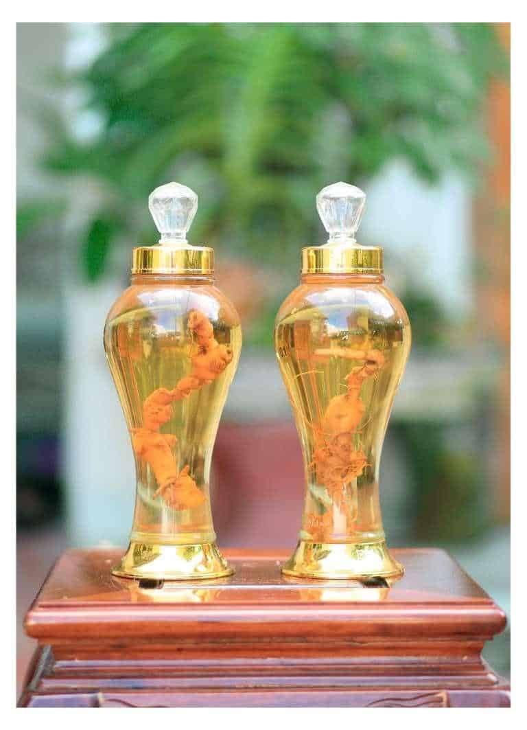 Cách sử dụng rượu sâm Ngọc Linh đúng cách