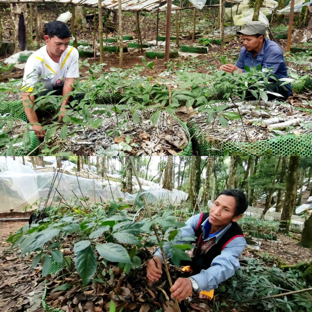 Ánh sáng – Bóng râm tự nhiên cần thiết