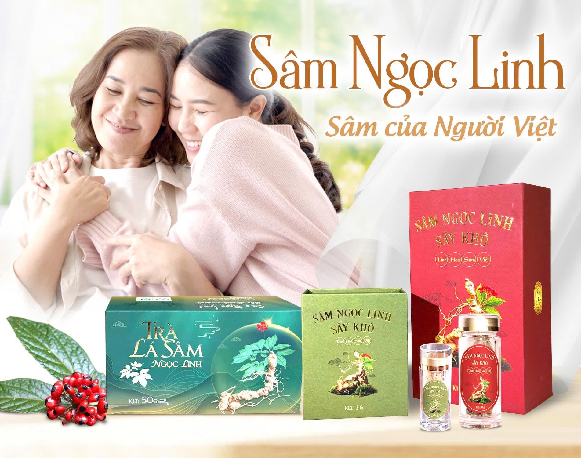 Giới thiệu chung về Sâm Việt