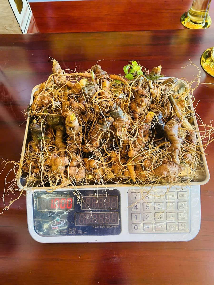 Tại sao cần tăng năng lượng tự nhiên?