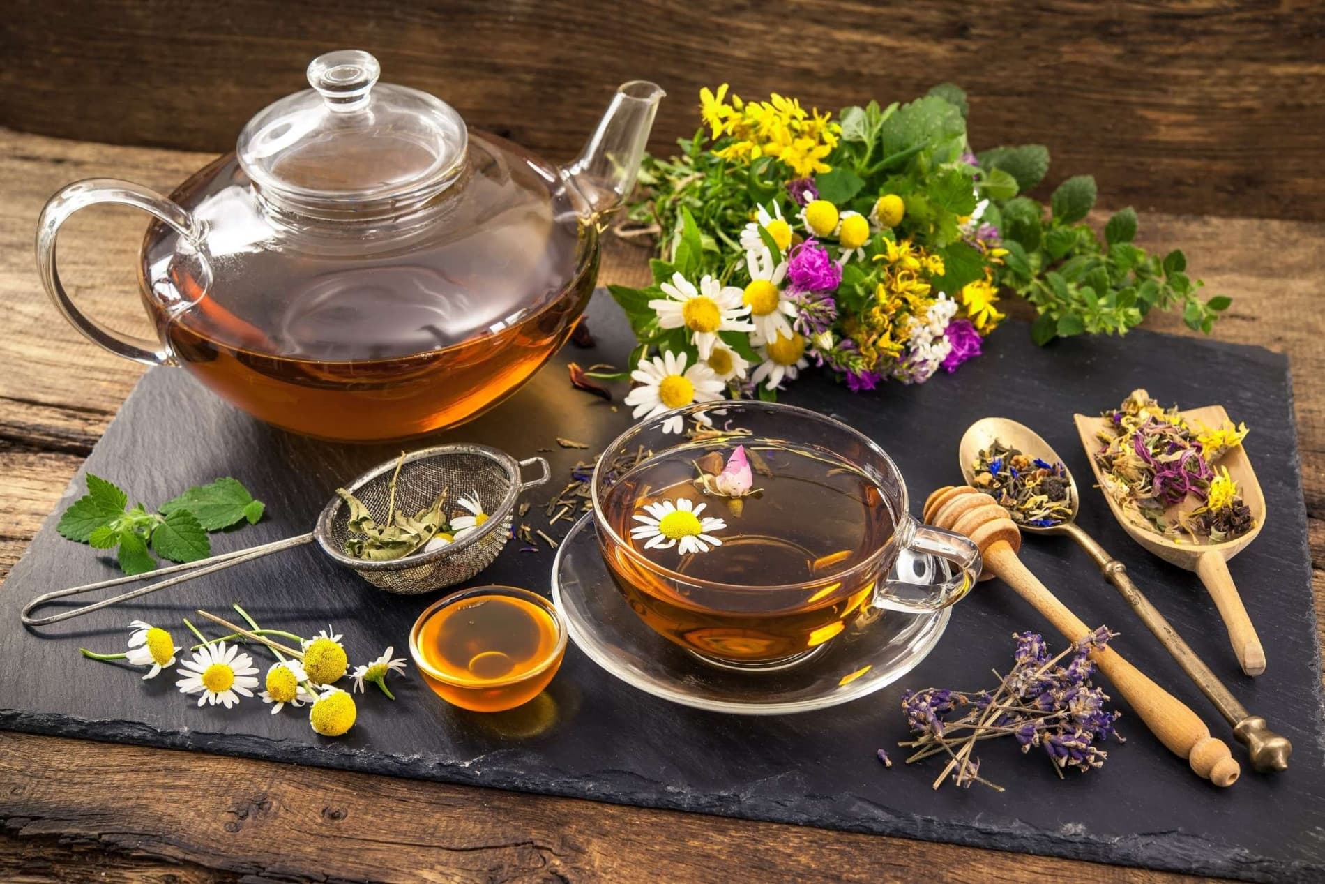 Biến trà lá sâm thành đồ uống healthy: Bí quyết sống xanh, khỏe đẹp từ thiên nhiên