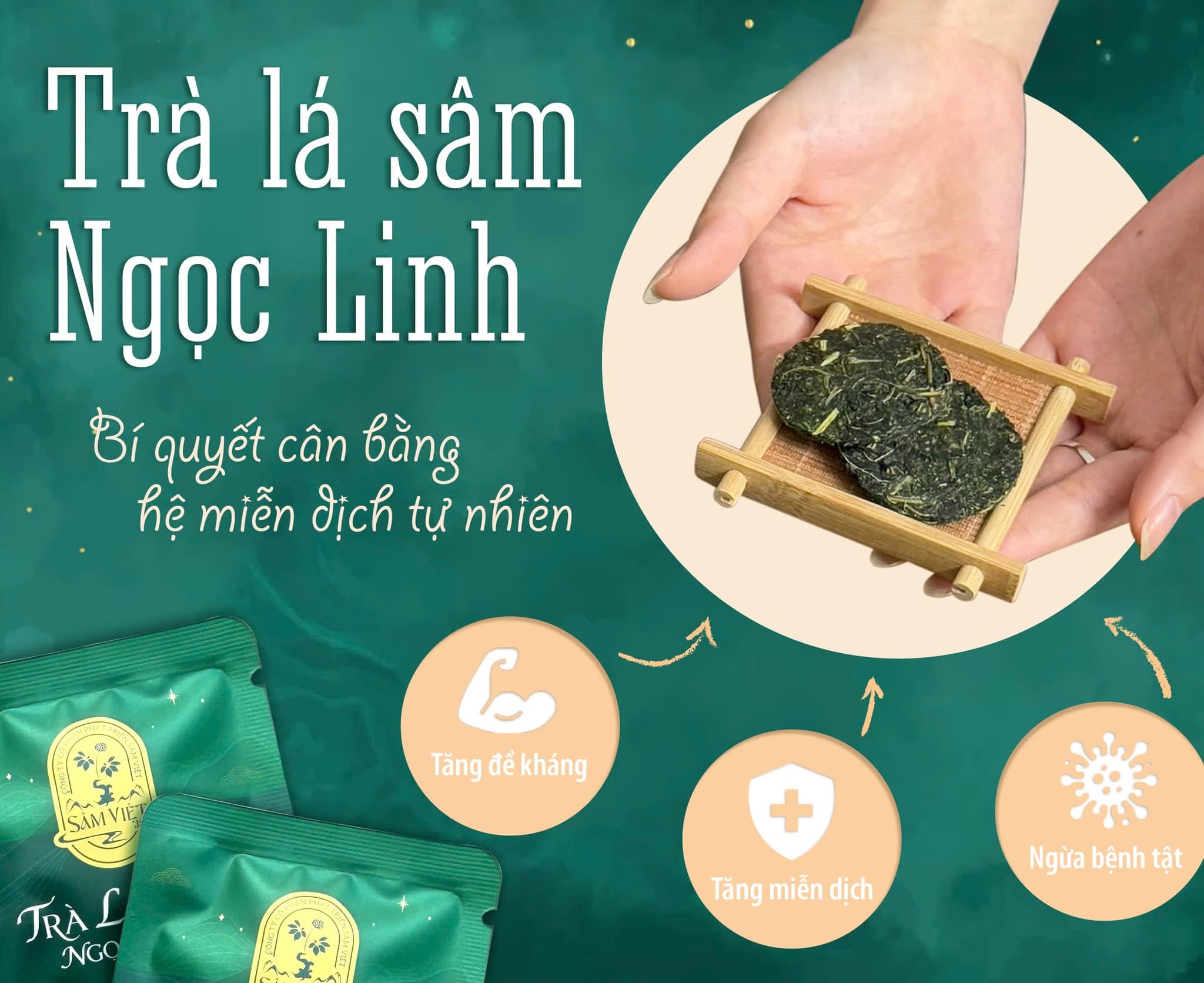 Trà Sâm Ngọc Linh – Cách dùng hiện đại, tiện lợi